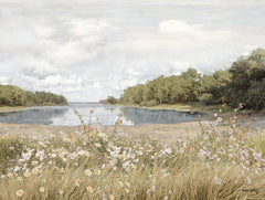 AS389 - Wildflower Meadow - 16x12