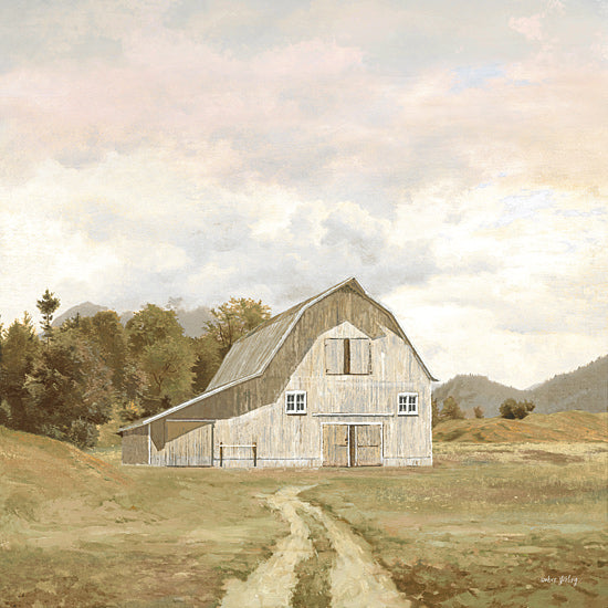 Amber Sterling AS405 - AS405 - Maple Way Ridge Farm - 12x12 rustic barn, country field, dirt path, rolling hills, soft clouds, warm earthy tones, rural farmhouse scene, americana countryside, modern farmhouse decor, landscape painting, peaceful from Penny Lane