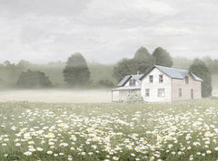 AS409 - The Daisy House - 16x12