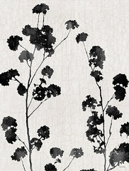 AS424 - Silhouette Floral - 12x16