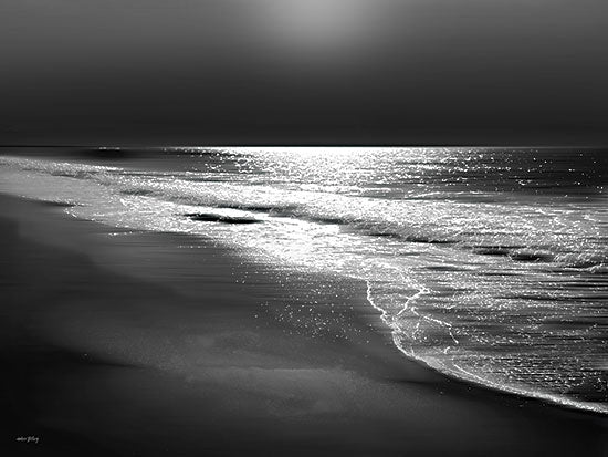 Amber Sterling AS629 - AS629 - Glimmering Shore - 16x12 coastal, landscape, beach, sky, moonlight, waves, ocean, tranquil, moody, photography, black & white from Penny Lane