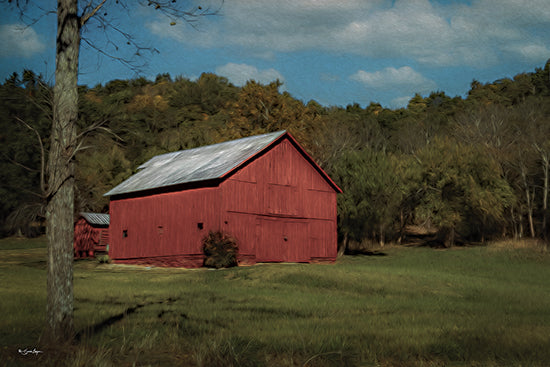 Susie Boyer BOY786 - BOY786 - The Red Barn - 18x12 red barn, countryside, rural landscape, farm scene, green pasture, tree trunk foreground, blue sky, fluffy clouds, summer field, rustic, Americana, country living, pastoral, nature, painterly texture, brush strokes, wall art, farmhouse style from Penny Lane
