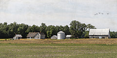 BOY796 - South Folk Farm      - 18x9