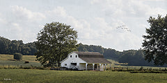 BOY800 - Lost Branch Farm     - 18x9