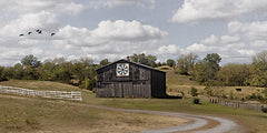 BOY801 - Road to the Barn      - 18x9