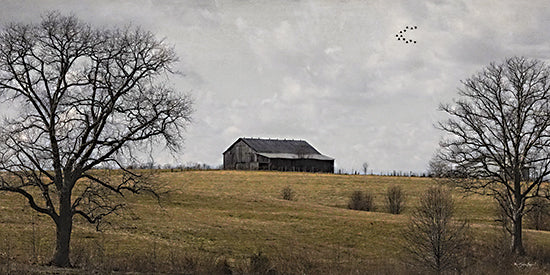 Susie Boyer BOY814 - BOY814 - On a Hill - 18x9 country landscape, rolling hill, lone barn, leafless trees framing, winter pasture, muted brown grass, cloudy sky, birds in formation, rustic farm, rural scenery, tranquil, open space, horizon, nature, Americana, moody, neutral palette from Penny Lane