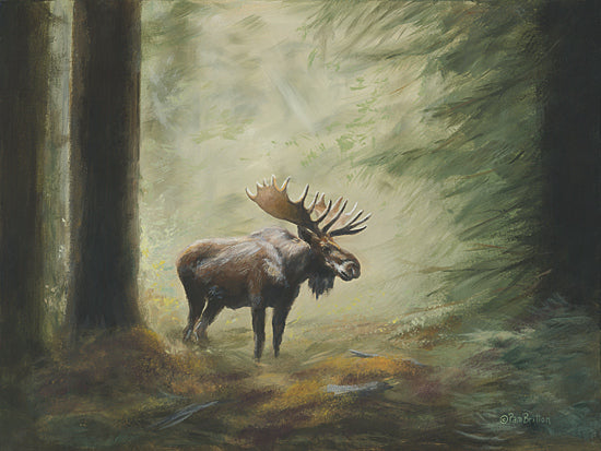 Pam Britton BR647 - BR647 - Moose in the Clearing - 16x12 Landscape, Forest, Moose, Sideview, Wildlife, Trees from Penny Lane