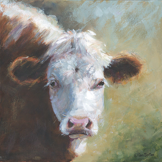 Pam Britton BR652 - BR652 - Deep Thinker - 12x12 brown and white cow portrait, expressive farm animal, close up cattle face, painterly brushwork, rustic country art, soft pastoral colors, barnyard animal painting from Penny Lane