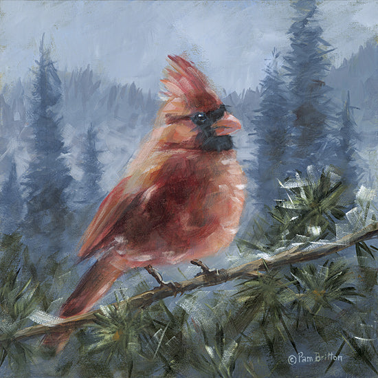 Pam Britton BR687 - BR687 - Chilly Cardinal - 12x12 Red cardinal on snowy evergreen branch, winter wildlife from Penny Lane