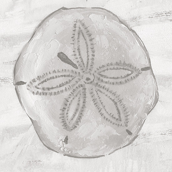 Cloverfield & Co. CC258 - CC258 - Sand Dollar Sea Cookie - 12x12 Coastal, Sand Dollar, Aquatic Animal from Penny Lane