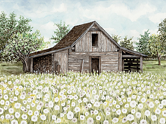 Cindy Jacobs CIN4258 - CIN4258 - Summer Breeze - 16x12 Farm, Barn, Brown Barn, Landscape, Flowers, White Flowers, Wildflowers, Trees, Summer  from Penny Lane