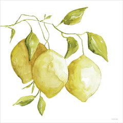 CIN4485 - Lemon Trio II - 12x12