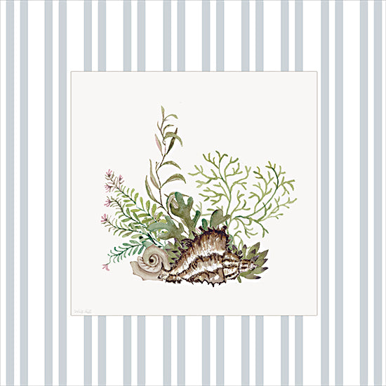 Cindy Jacobs CIN4509 - CIN4509 - Ocean Treasures II - 12x12 coastal watercolor vignette, conch shell, spiral shell, seaweed and sea fern, marine greenery, soft botanical ocean plants, beach cottage decor, light blue striped background, framed white mat, minimal seaside still life, summer nautical theme from Penny Lane