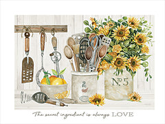 CIN4530 - The Secret Ingredient - 16x12