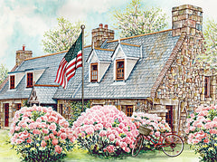 CIN4660 - Summer Cottage - 16x12