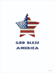 CIN4675 - God Bless America Star - 12x16