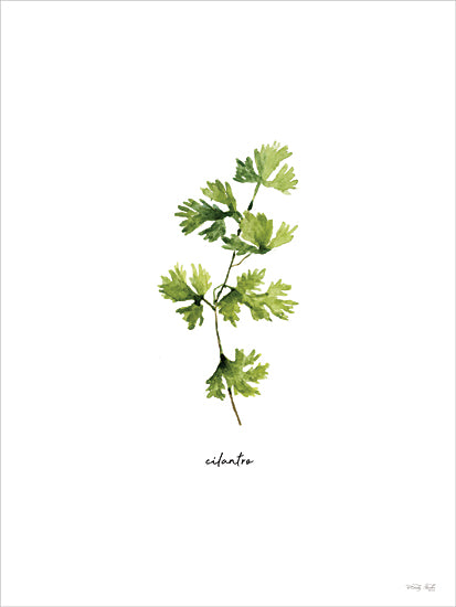 Cindy Jacobs CIN4720 - CIN4720 - Cilantro Herb - 12x16 cilantro herb watercolor illustration, green leaves botanical art, kitchen decor, culinary herbs, watercolor food art from Penny Lane