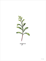 CIN4721 - Oregano Herb - 12x16