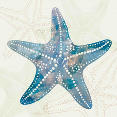 CTD247 - Blue & White Starfish - 12x12