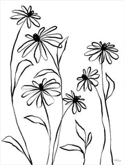 CTD321 - Simple Blooms I - 12x16