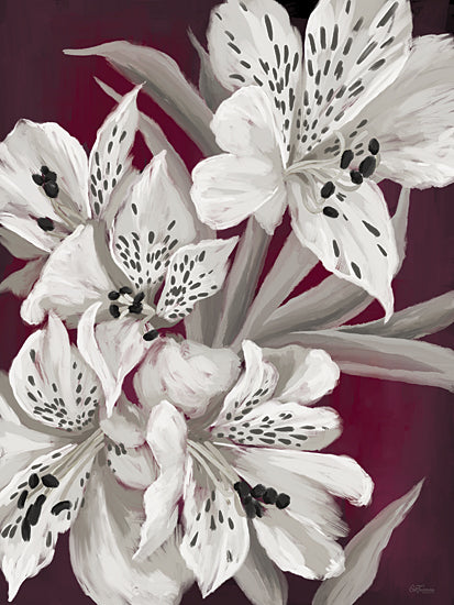 Cat Thurman Designs CTD463 - CTD463 - Evening Blooms - 12x16 botanical, still life, floral, alstroemeria, lily, speckled petals, white flowers, dark background, decorative, moody, digital painting, white from Penny Lane