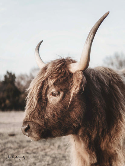 Dakota Diener DAK103 - DAK103 - Highland Side Shot - 12x16 highland cow, Scottish Highland cattle, shaggy brown cow, long curved horns, cow portrait, close-up profile, farm animal photography, rustic country decor, pasture background, bovine portrait, hairy cow, ranch style art, countryside animal, moody neutral tones, farmhouse wall art, rural photography, nature animal portrait, barnyard subject from Penny Lane