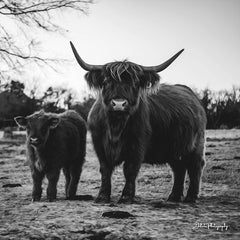 DAK113 - Highland Mom and Daughter II - 12x12