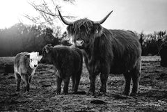 DAK114 - Cow Family - 18x12