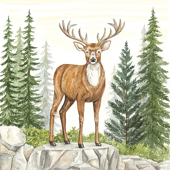 Deb Strain DS2404 - DS2404 - Deer in Forest - 12x12 watercolor stag deer, antlers, buck on rock ledge, evergreen trees, forest setting, mountain woodland, rustic lodge decor, wildlife portrait, elegant deer illustration, nature art, green pine landscape from Penny Lane
