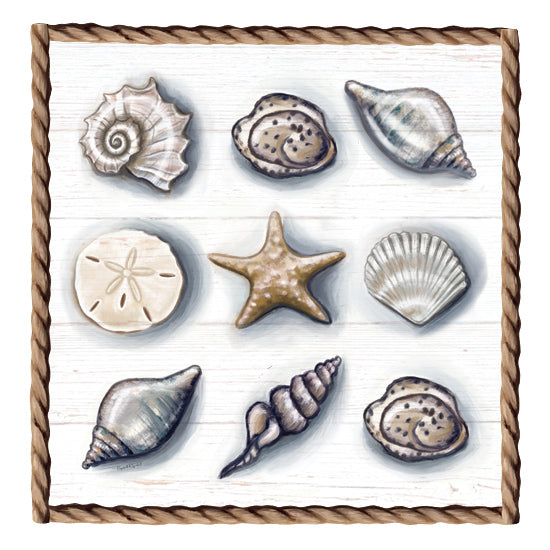 Elizabeth Tyndall ET323 - ET323 - Beach Shells I - 12x12 Coastal, Beach Shells, Seashells, Sand Dollar, Starfish, Rope Border from Penny Lane