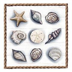 ET324 - Beach Shells II - 12x12