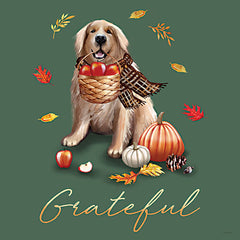 ET649 - Fall Dogs Grateful - 12x12