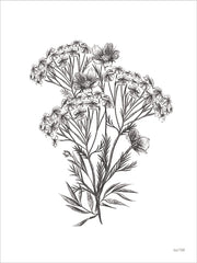FEN1291 - Wildflower Sketch II - 12x16