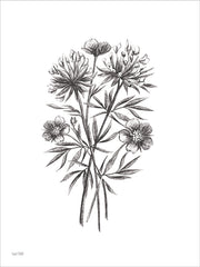 FEN1292 - Wildflower Sketch III - 12x16