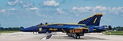 JDS235 - At Attention - 18x6