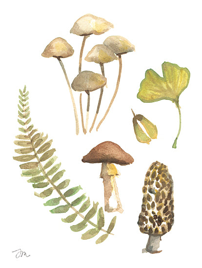 Jessica Mingo JM605 - JM605 - November Mushrooms - 12x16 Mushrooms, Leaves, Nature, Greenery from Penny Lane