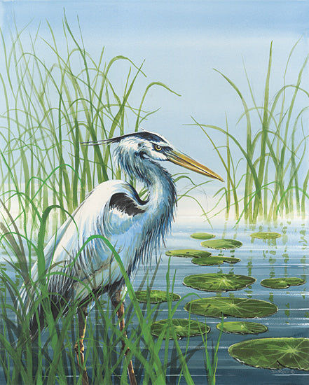 John Rossini JR451 - JR451 - Among the Reeds - 12x16 great blue heron, heron, wading bird, marsh, wetland, reeds, tall grass, cattails, pond, lake water, lily pads, water lilies, shoreline, calm water, reflection, blue sky, serene, nature scene, wildlife illustration, coastal marsh, lake lodge, painterly, watercolor style, soft brush strokes, tranquil from Penny Lane