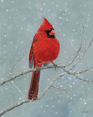 KS308 - Winter Cardinal I   - 12x16