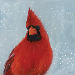 KS309 - Winter Cardinal II   - 12x12