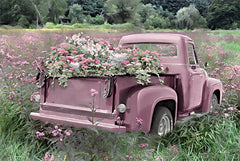 LD2155 - Trucks Are For Girls   - 18x12