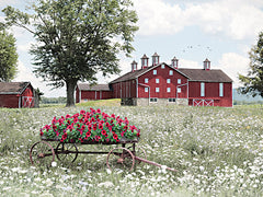 LD3105 - Old Milton Farm - 16x12