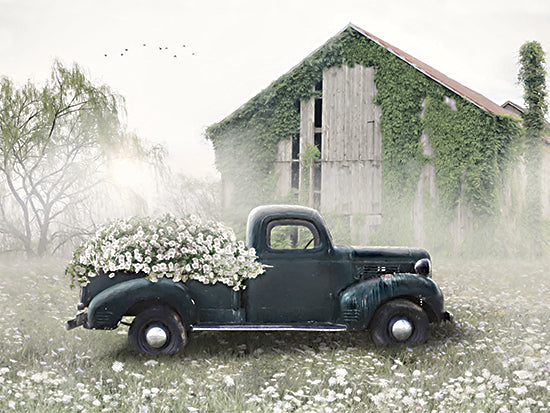 Lori Deiter LD3106 - LD3106 - Dodge Full of Flowers - 16x12 vintage dark green pickup truck, flowers in truck bed, foggy meadow, rustic barn covered in ivy, spring field, country farm scene, soft neutral tones, modern farmhouse decor, transportation art, floral landscape, painterly from Penny Lane