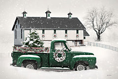 LD3254 - Snowy Delivery - 18x12