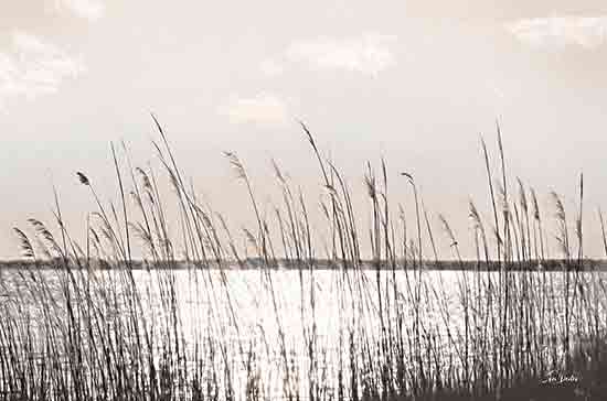 Lori Deiter LD3456 - LD3456 - Beach Grass - 18x12 lake reeds, tall grasses, lakeside, water view, calm lake, shoreline, neutral coastal style, minimalist landscape, soft sky, hazy light, tranquil nature, serene, summer lake, lake & lodge decor, nature, landscape, painterly, brush strokes, neutral tones from Penny Lane