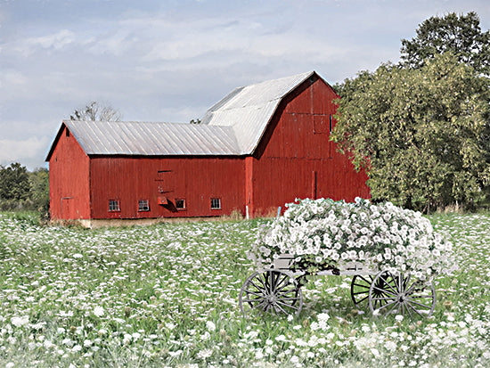 Lori Deiter LD3507 - LD3507 - Summer Farm Field - 16x12 Photography, Farm, Barn, Red Barn, Wildflowers, Wagon, White Flowers, Trees, Summer from Penny Lane