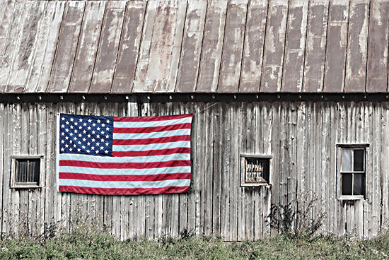 Lori Deiter LD3510 - LD3510 - Old Patriotic Barn - 18x12 Photography, Farm, Barn, Old Barn, Patriotic, American Flag, July 4th, Independence Day from Penny Lane