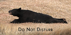 LD3543 - Do Not Disturb Bear - 18x9