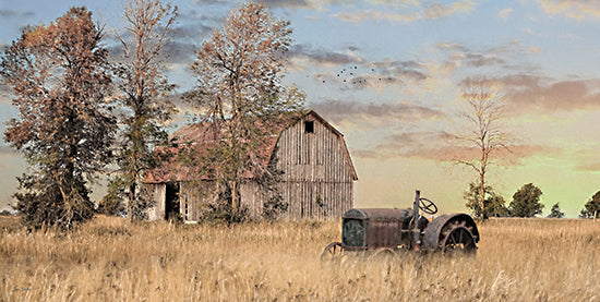 Lori Deiter LD3548 - LD3548 - Golden Sunset on the Farm - 18x9 Photography, Landscape, Farm, Barn, Tractor, Trees, Sunny Day, Wheat Field from Penny Lane