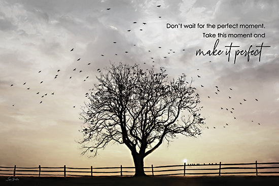Lori Deiter LD3585 - LD3585 - Make it Perfect - 18x12 Photography, Landscape, Inspirational, Don't Wait for the Perfect Moment, Take This Moment and Make it Perfect, Typography, Signs, Textual Art, Tree, Fence, Birds, Sun, Clouds from Penny Lane