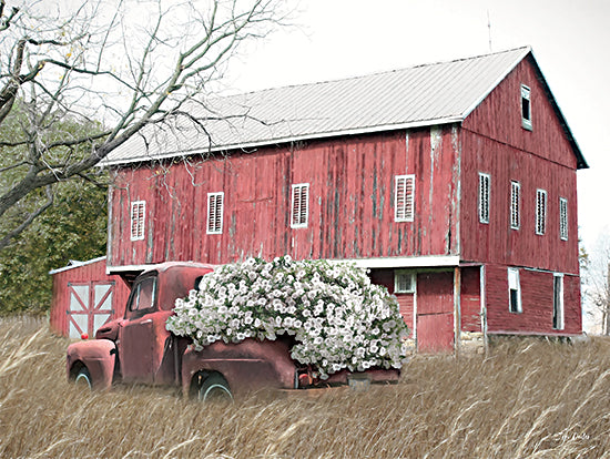 Lori Deiter LD3604 - LD3604 - Old Red at the Barn - 16x12 Photography, Farm, Barn, Red Barn, Truck, Red Truck, Flowers, White Flowers, Wheat Field from Penny Lane